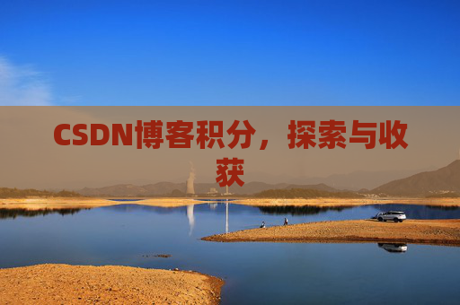 CSDN博客积分,探索与收获